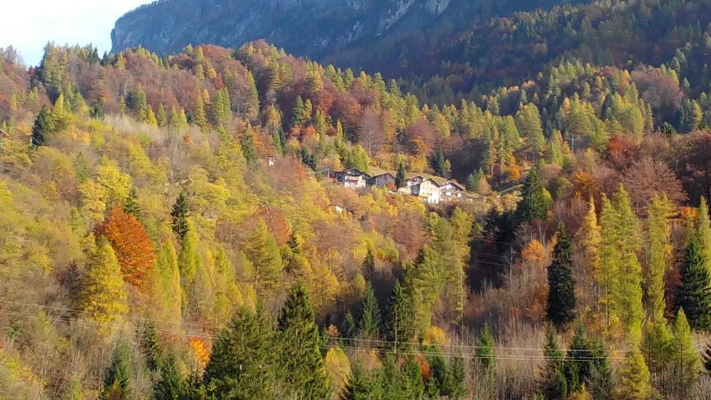 Casa Alpina Villa Cencenighe Bagian luar foto