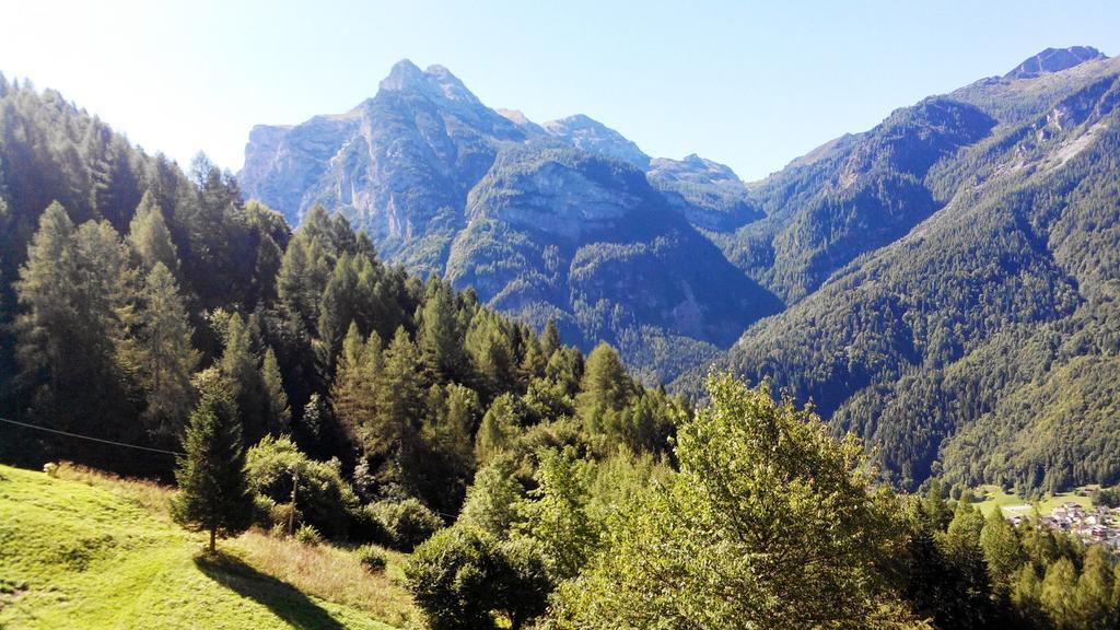 Casa Alpina Villa Cencenighe Bagian luar foto
